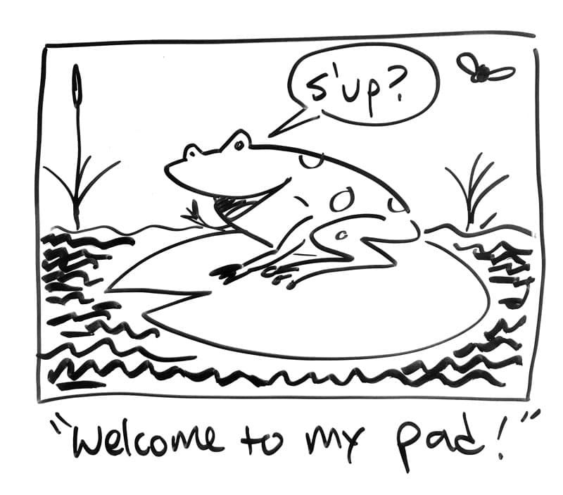 A frog on a lily pad with cattails in the water as a fly buzzes nearby. "S'up? Welcome to my pad."