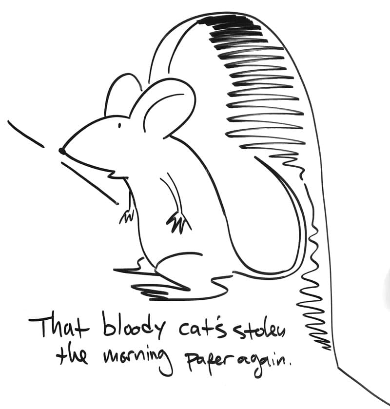 A cartoon mouse looks out his hole in exasperation. "That bloody cat's stolen the morning paper again."
