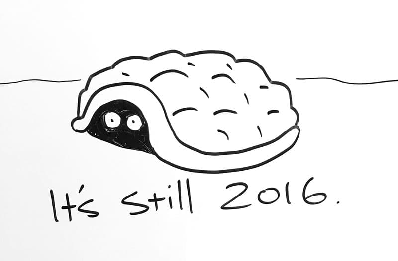 Drawing of a turtle hiding in its shell with the caption, "it's still 2016."