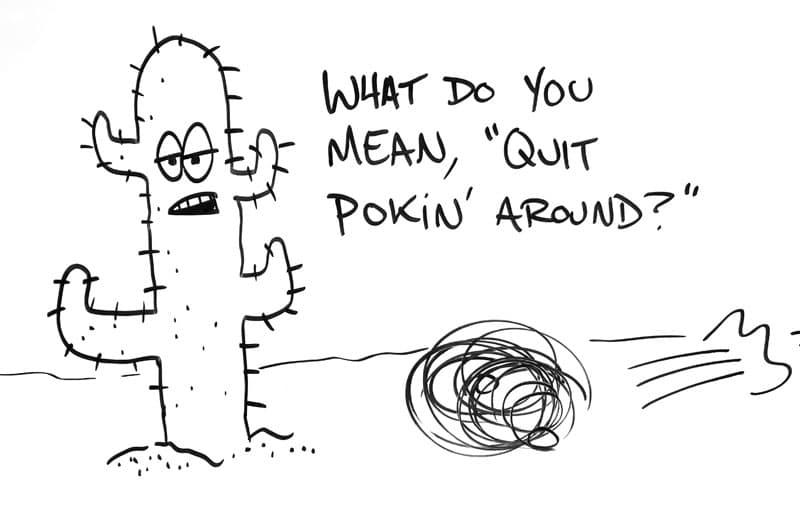 Drawing of an anthropomorphic cactus saying, "What do you mean, 'quit poking around?," while a tumbleweed blows by.