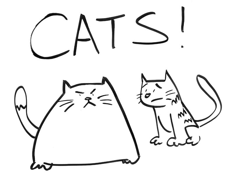 A drawing of a fat, angry cat and a skinny worried cat with the heading, "CATS!"