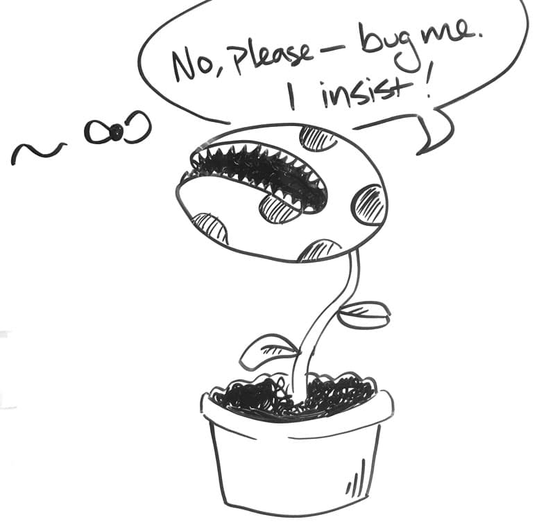 A fly flies straight into a venus flytrap. The plant says, "No, please — bug me. I insist!"