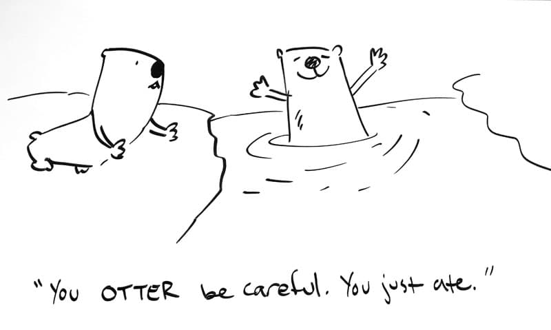 Drawing of an otter on the river bank looking pleadingly at an otter swimming happily. Caption: "You otter be careful. You just ate."