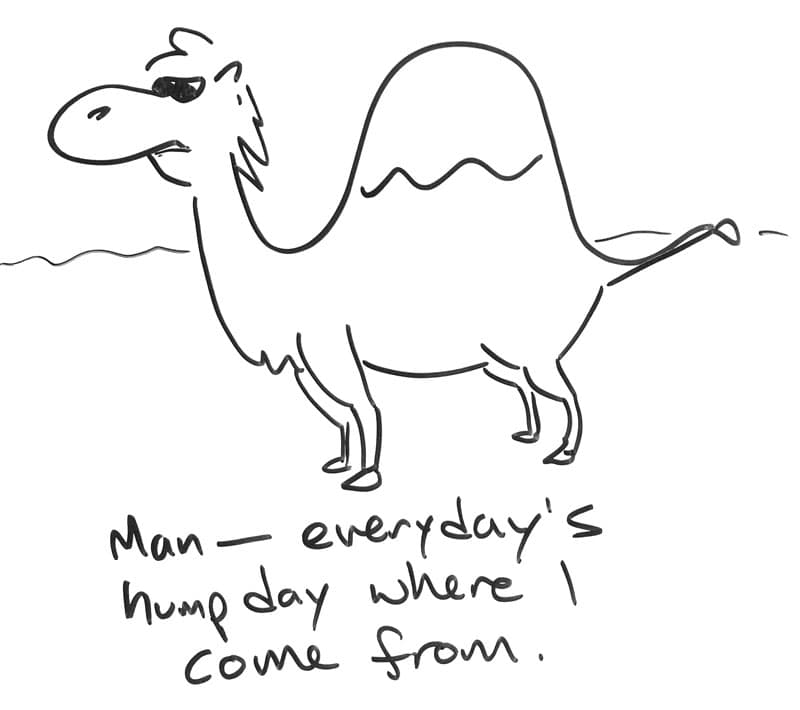 A camel in sunglasses. "Man — everyday is hump day where I come from."