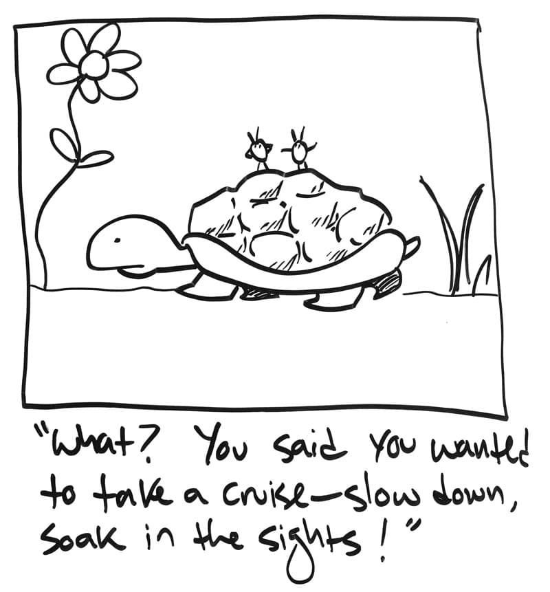 Cartoon: two bugs ride on the back of a turtle. "What? You said you wanted to take a cruise — slow down, soak in the sights!"